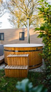 Wellnesshuisje in de Sallandse Heuvelrug - Haarle - 9