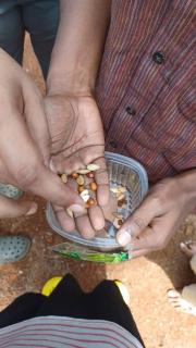 Project Remember by Maanushi Foundation - 5