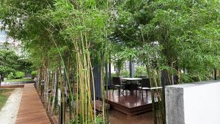 unixx seaview hotel - Pattaya Sud - 4