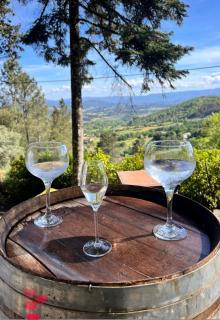 Quinta da Hortigueira - Country House - 8