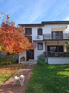 Apartments Villa Boris - Ohrid - 4