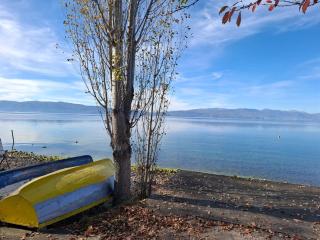 Apartments Villa Boris - Ohrid - 4