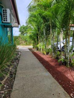Hotel Campestre Arenal - Fortuna - 5