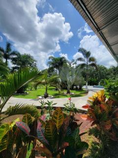 Hotel Campestre Arenal - Fortuna - 6