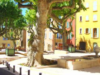 Entre Saint-Tropez et les gorges du Verdon. - Lorgues - 3