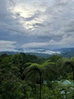 Studio with stunning ocean mountain views IV - Tinamaste - 7