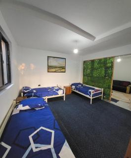 Stone House Hostel Elbasan - Elbasan - 5