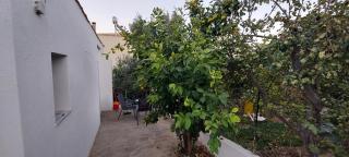 Airport Friendly House 3 - Artemida - 8