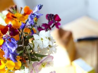 Stable Cottage - Icklesham - 4