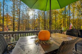Herons Rest -- Riverfront, Fire Pit, All seasons Porch, Grill, Games, Fishing, Deck, Wifi, River view - Great Cacapon - 9