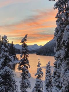 Cooks and Puppies Hideaway - 8