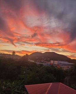 Fano's Tropical Oasis, Boise D'orange - Castries - 4