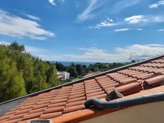 N290 - Numana, ampio trilocale con terrazzo vista mare - Numana - 9