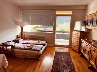 GAMSBLICK Bad Aussee Ferienwohnung - Bad Aussee - 3