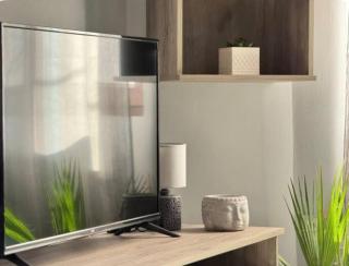 City Palm Retreat - 7