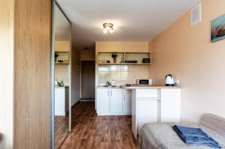 Studio Apartment - Kaunas - 1