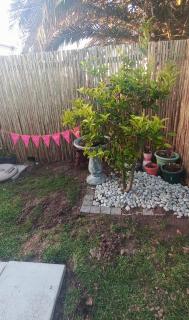 Fynbos Single Stay - Langebaan - 5