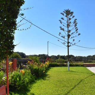 Paradise Studios - Svoronata - 3