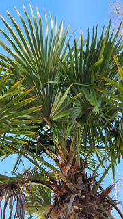 Maison d'hôtes MOURENIA Aroue - 1