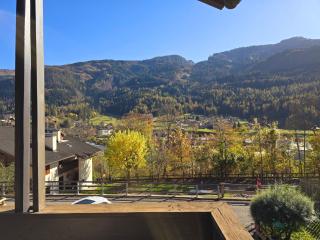 Fior di Larice - Alpine Stay Apartments - Ziano di Fiemme - 1