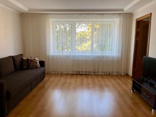 Center two bedroom apartment - 4