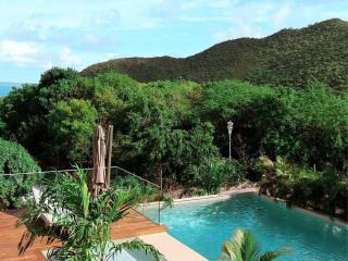 Duplex à Anse Marcel avec piscine privée, WiFi, air conditionné et service de conciergerie - FR-1-734-62 - Marigot - 4