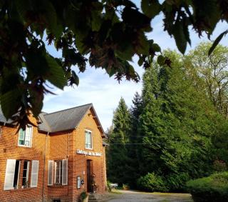 Auberge de la Forêt - Le Nouvion-en-Thiérache - 2