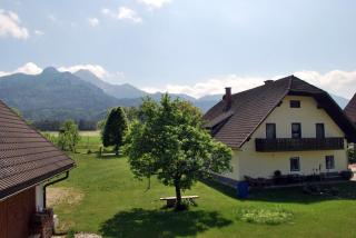 Ferienhof Ressmann-Tratnik - 4