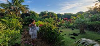 La VILLA ANKARENA Dans un domaine forestier tropical, villa entière avec PISCINE PRIVEE, Wifi, TV, personnels inclus Plage à 5 minutes à pieds - Sainte Marie - 5