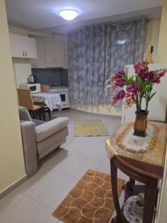 Tirana Center Apartament - Tirana - 2