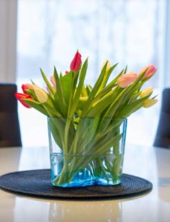 River House Anttila - 4