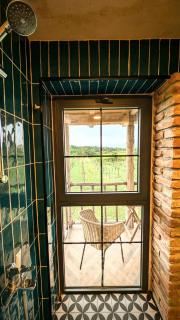 Mshvenieradze Winery - - 3
