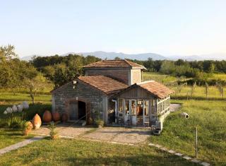Mshvenieradze Winery - - 0