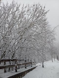 Appartamento Sommeiller - Bardonecchia - 9