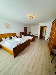 Landgasthof Hotel Zwickl - Deggendorf - 5