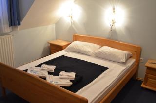 Hotel Dva Javora - 9