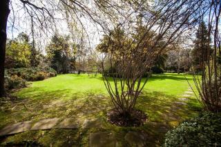Escape al bosque! - Casa Vintage - San Luis - 5