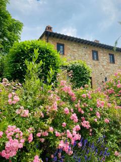 2BR 2BA near San Gimignano - Pool,Air Conditioner,Garden,WiFi - La Cava - 0