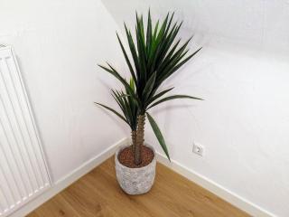 Apartment 'Tannen' Grenze Enschede - 9