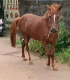 SNOWVALLEY RESIDENCY - Vagamon - 4