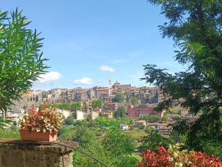La Civetta - Casa vacanze Orte - Orte - 9