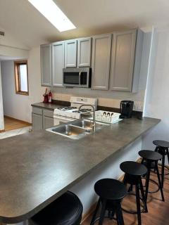 3BR 2BA Apt Near Rush Hospital - Chicago - 6