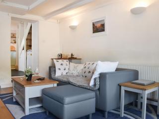 Kestrel Cottage - Tavistock - 7