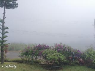 เฟรนด์แคมป์เขาค้อ - Ban Thung Samo - 4
