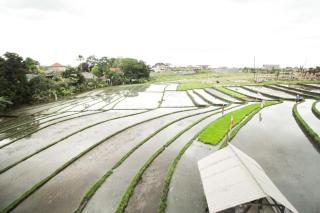 Allende Canggu - Canggu - 1
