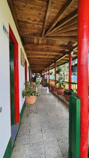 Finca Carrizales - Jardin - 8