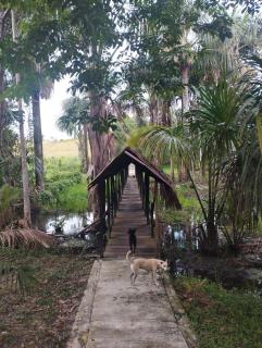 Amazon Lodge Varillal - Iquitos - 9