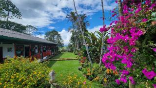 Finca Carrizales - Jardin - 0