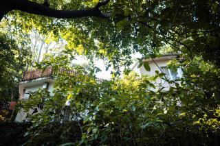 Jungle Ghar - Pachmarhī - 8