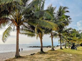 Peace Lanta Mansion - Ko Lanta - 3